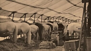 Dark Lantern Entertainment Presents '_The Dragonfly'_ Scene 3 Pt.1