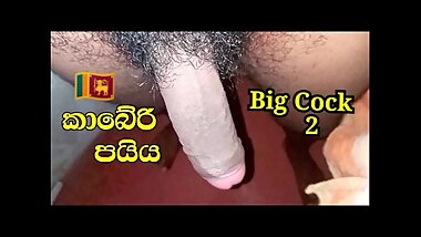 Let's take the Big Black Pie in the Mouth,හුත්ත පතුරු යනකන් කාබේරි පයියේ රස බලමු